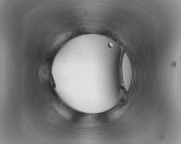 X0000091510080200709141403