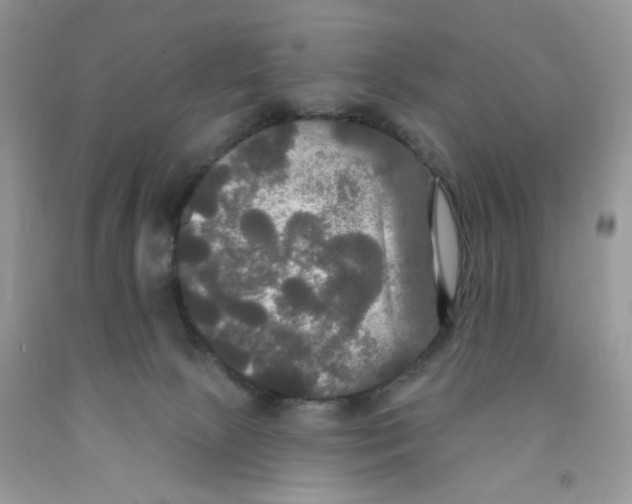 X0000091510081200709141403