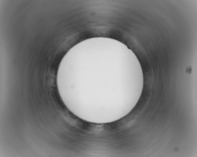 X0000091510083200709141403