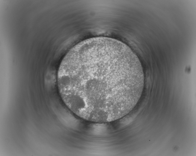 X0000091510085200709141403