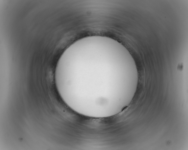 X0000091510086200709141403