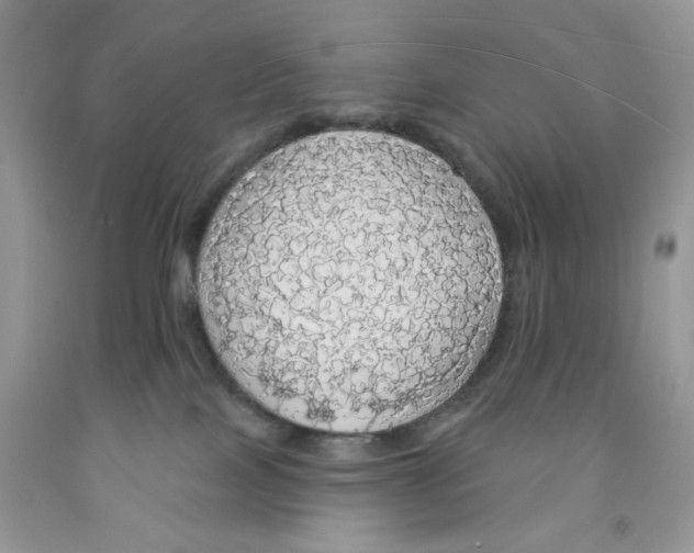 X0000091510089200709141403