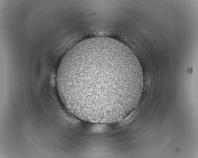 X0000091510090200709141403