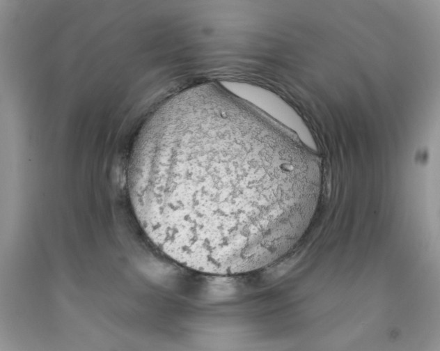 X0000091510091200709141403