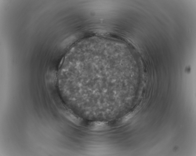 X0000091510093200709141403