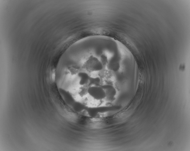 X0000091510095200709141403