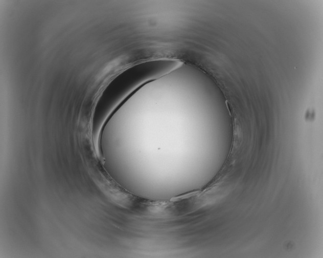 X0000091510096200709141403