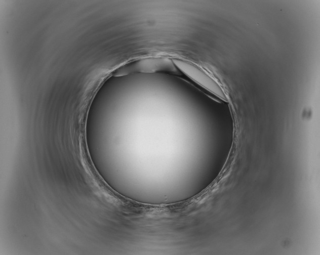 X0000091510097200709141403