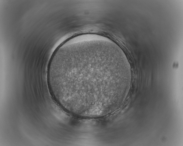 X0000091510100200709141403