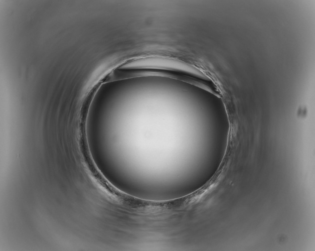 X0000091510101200709141403