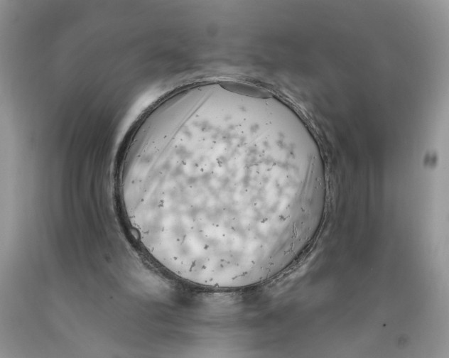 X0000091510102200709141403