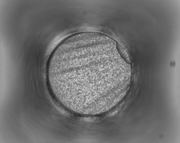 X0000091510103200709141403