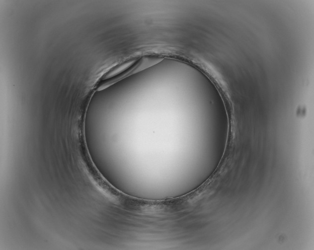 X0000091510105200709141403