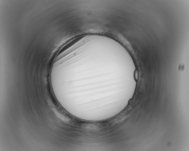 X0000091510106200709141403