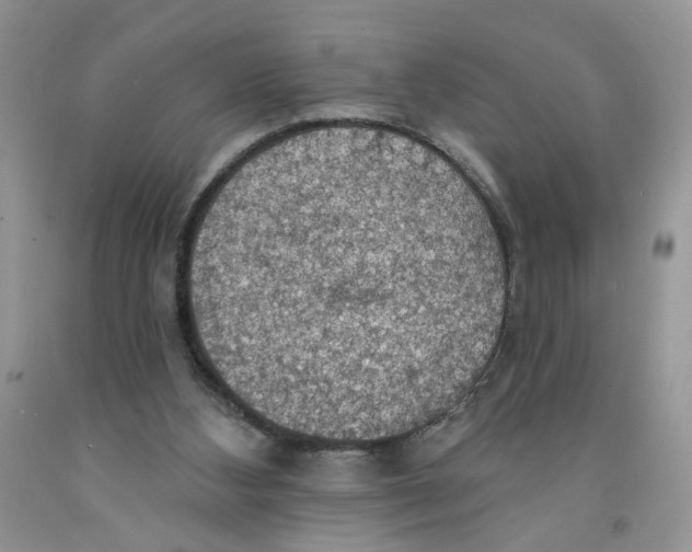 X0000091510108200709141403