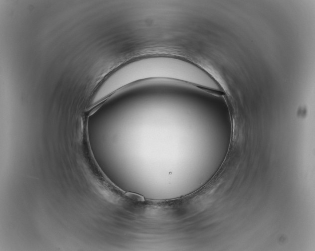 X0000091510109200709141403