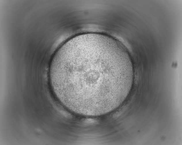 X0000091510111200709141403