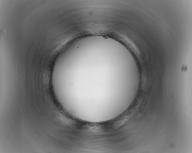 X0000091510113200709141403