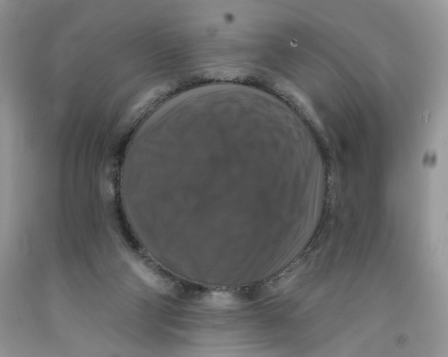 X0000091510114200709141403