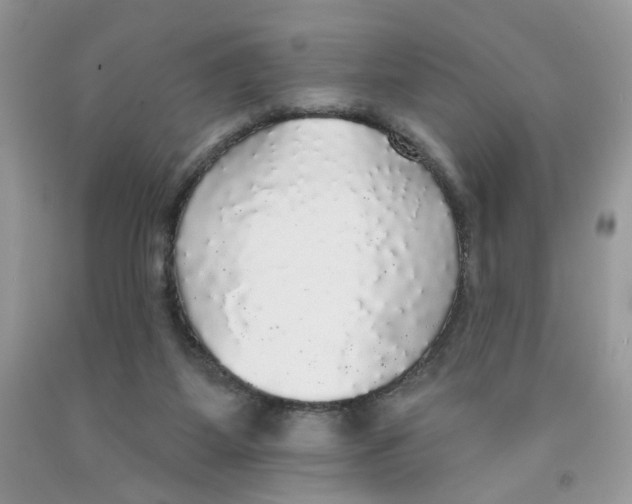 X0000091510115200709141403