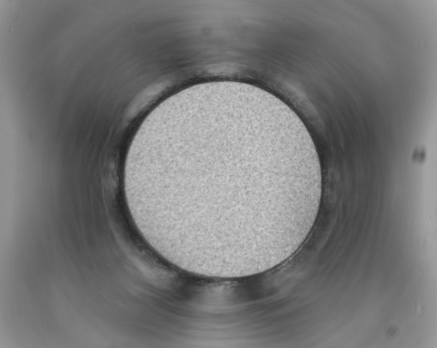 X0000091510116200709141403