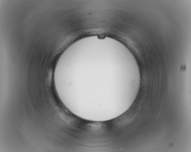 X0000091510118200709141403