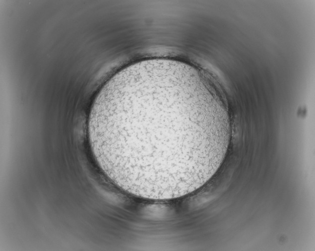 X0000091510119200709141403