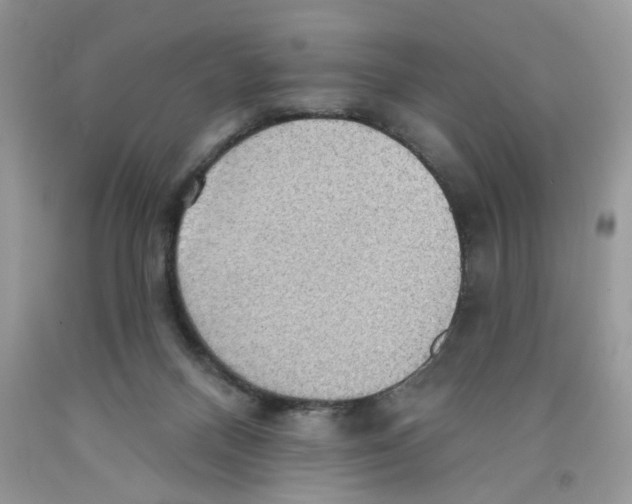 X0000091510120200709141403