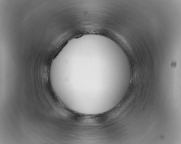 X0000091510121200709141402