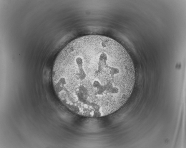 X0000091510123200709141402