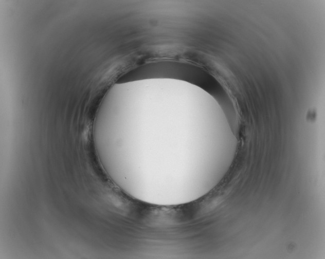 X0000091510125200709141402