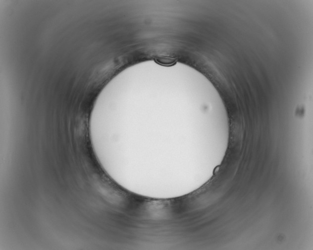 X0000091510126200709141402