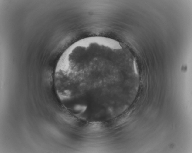 X0000091510127200709141402