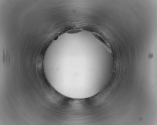 X0000091510129200709141402