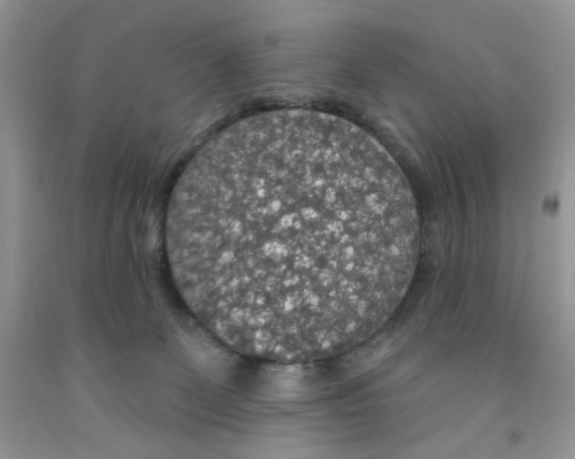 X0000091510131200709141402