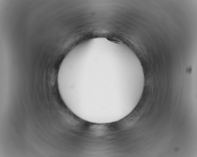 X0000091510133200709141402