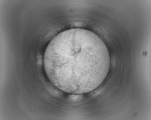 X0000091510135200709141402