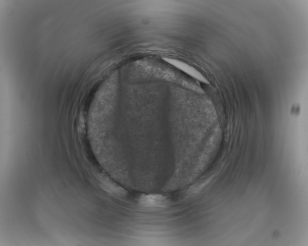 X0000091510137200709141402