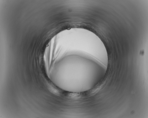 X0000091510139200709141402