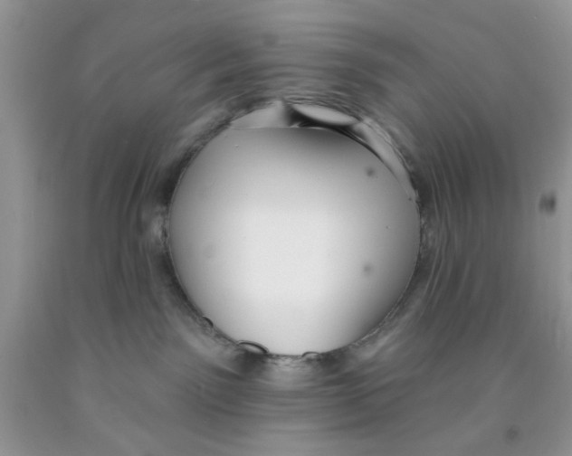 X0000091510141200709141402