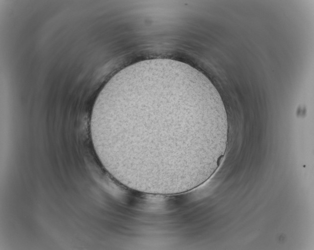 X0000091510144200709141402