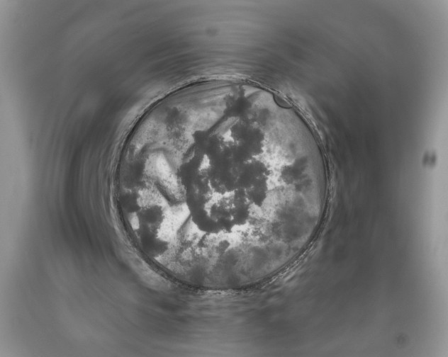 X0000091510145200709141401