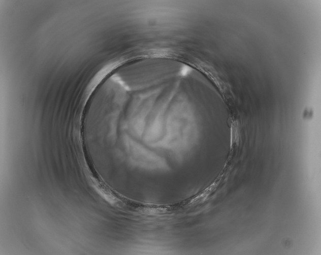 X0000091510147200709141401