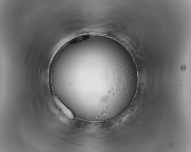 X0000091510148200709141401