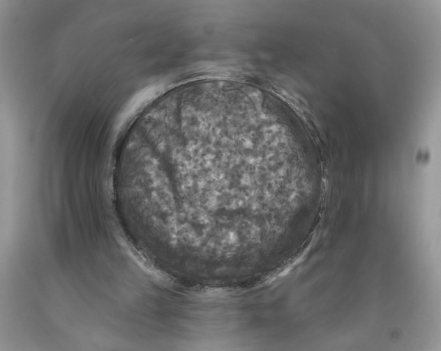 X0000091510149200709141401