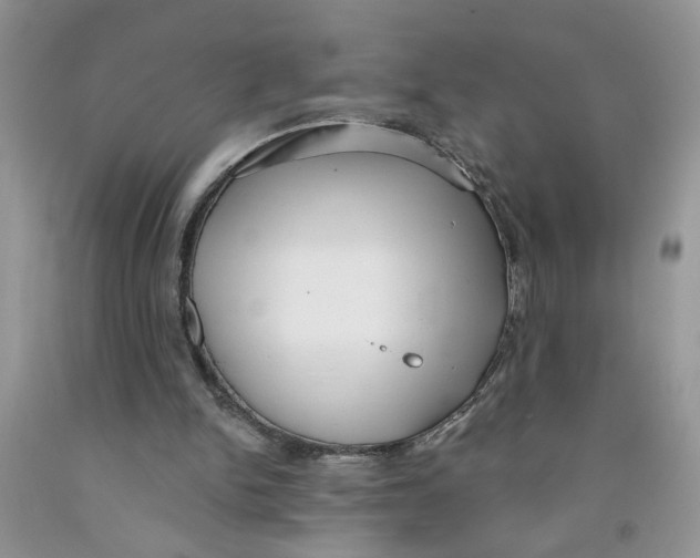 X0000091510150200709141401