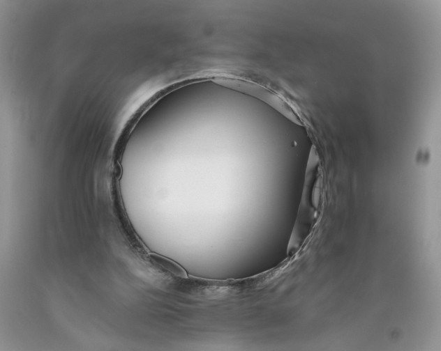 X0000091510152200709141402