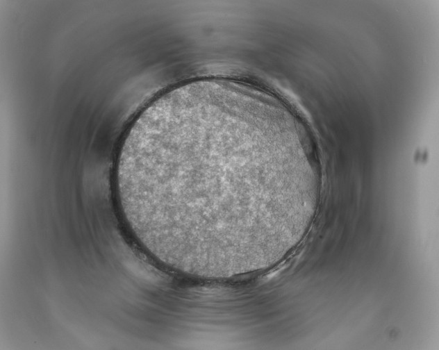 X0000091510154200709141402