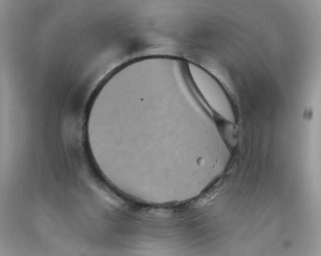 X0000091510156200709141402