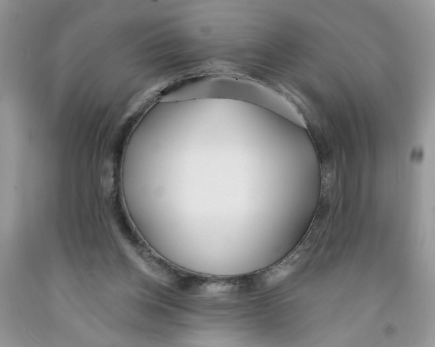 X0000091510158200709141402